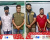 সাঁথিয়ায় ডিবির দুই অভিযানে ইয়াবা-গাঁজাসহ গ্রেপ্তার ২, পালালেন মাদক কারবারি